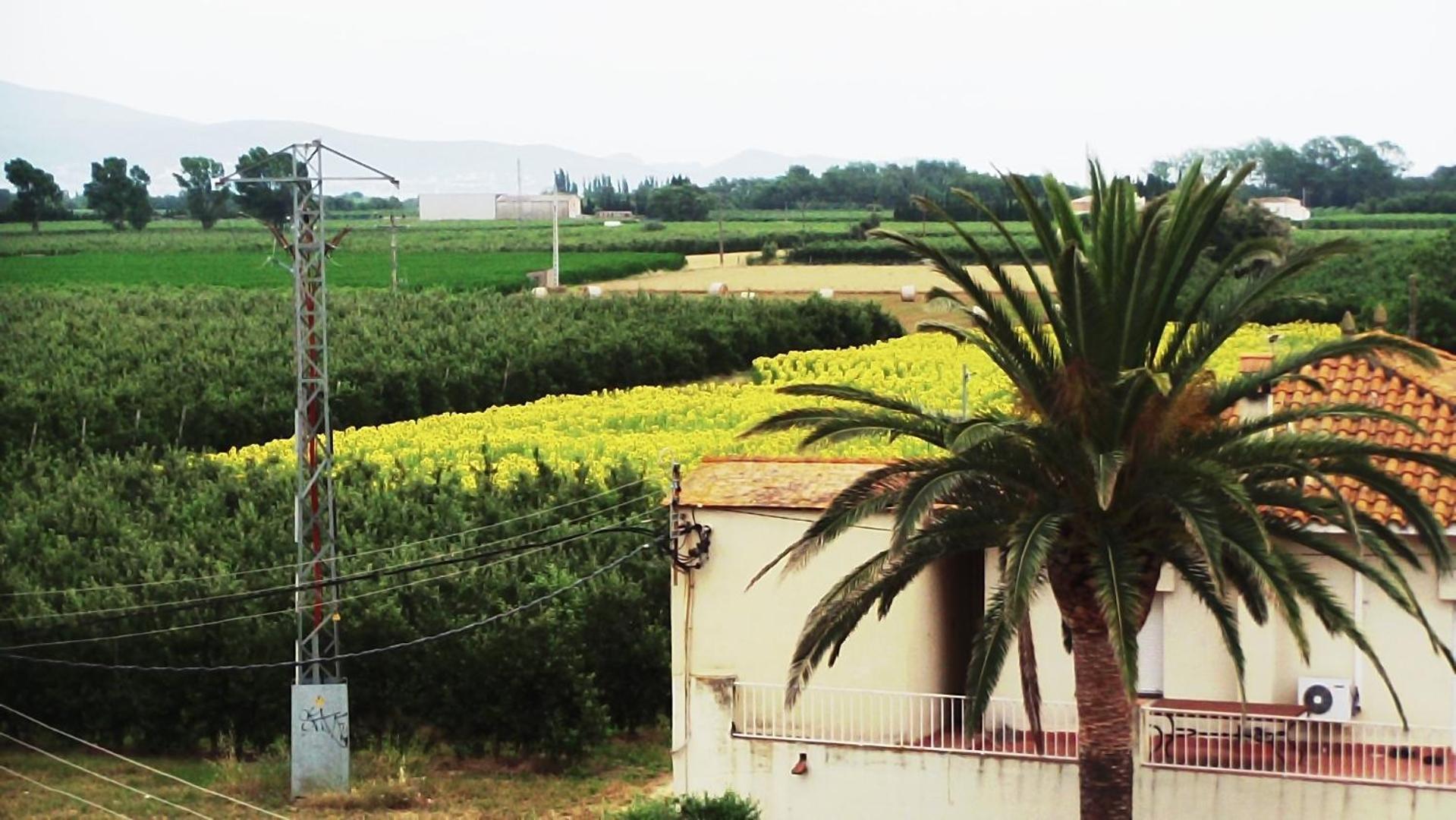 La Masia Sant Pere Pescador Dış mekan fotoğraf